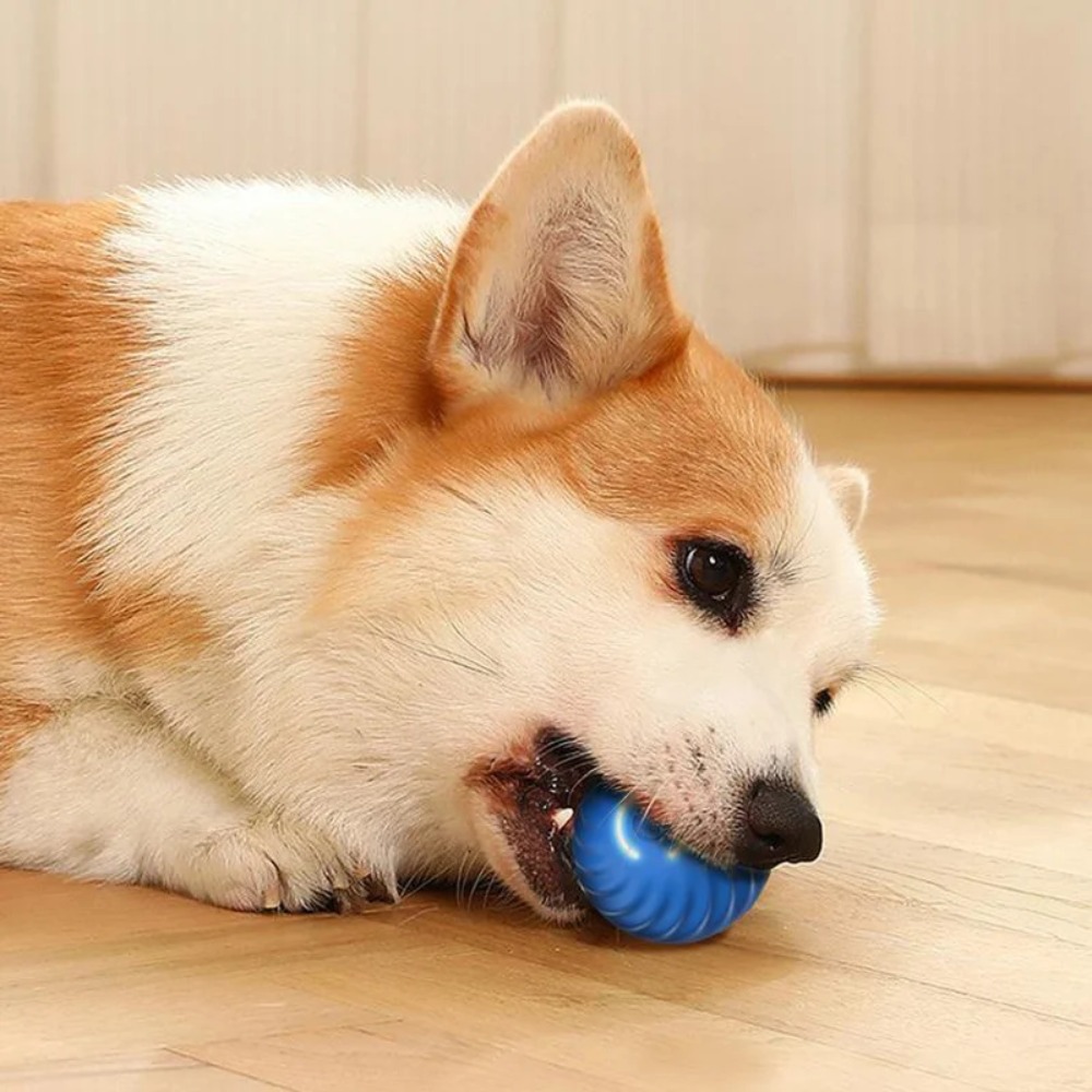 New 1pc Automatic Moving Dog T - Automatic Moving Dog Ball 评论和价格