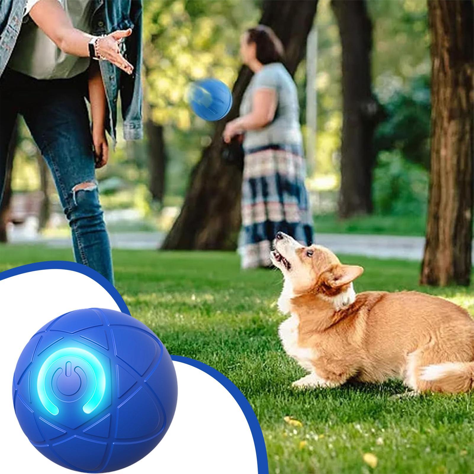 Smart Interactive Dog Toys for - Automatic Moving Dog Ball 评论和价格