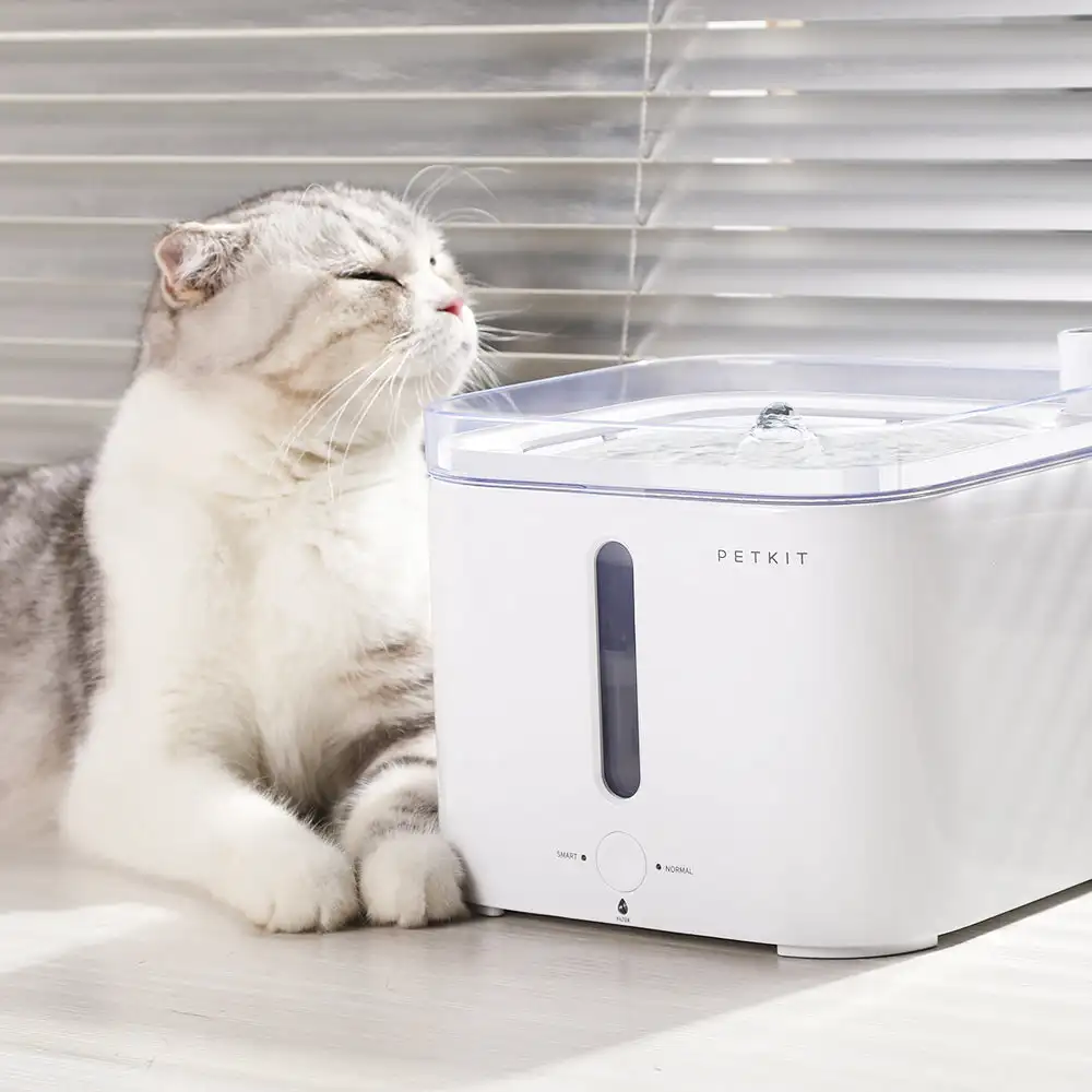 CANBOUN EVERSWEET Series Pet S - Pet Feeders 评论和价格