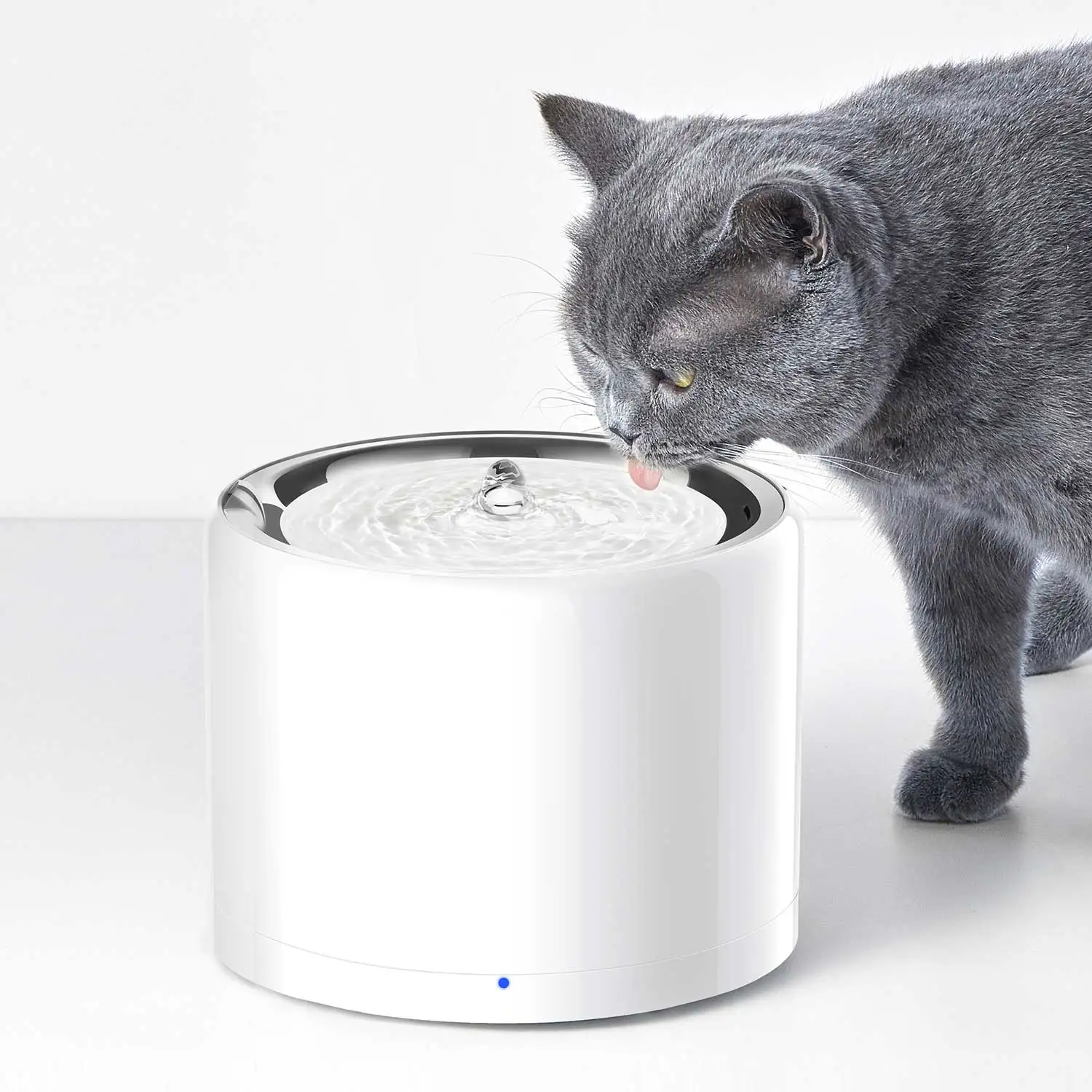 CANBOUN EVERSWEET Series Pet S - Pet Feeders 评论和价格