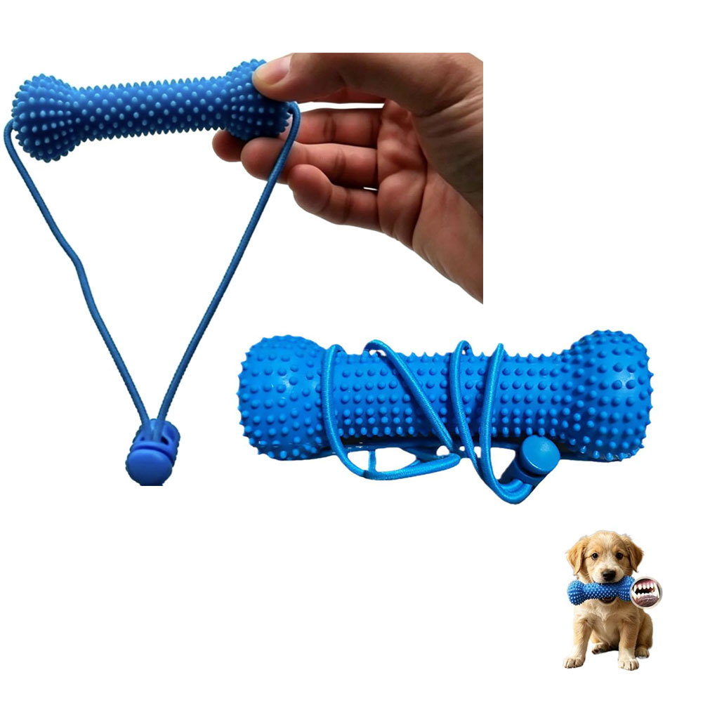 Dog Teeth Cleaning Chew Toy Bi - Teeth Cleaning Dog Chew Bone 评论和价格