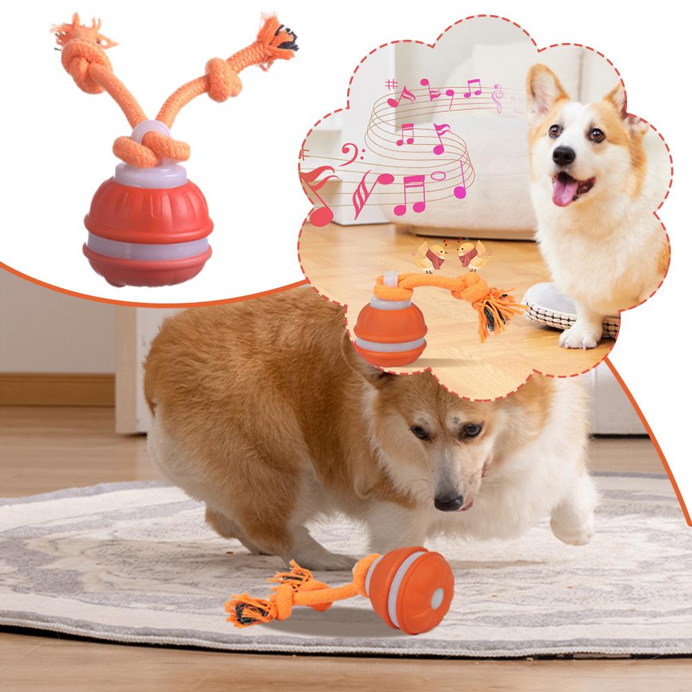 Smart Rechargeable Dog Ball In - Automatic Moving Dog Ball 评论和价格