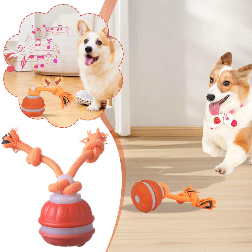 Smart Rechargeable Dog Ball In - Automatic Moving Dog Ball 评论和价格