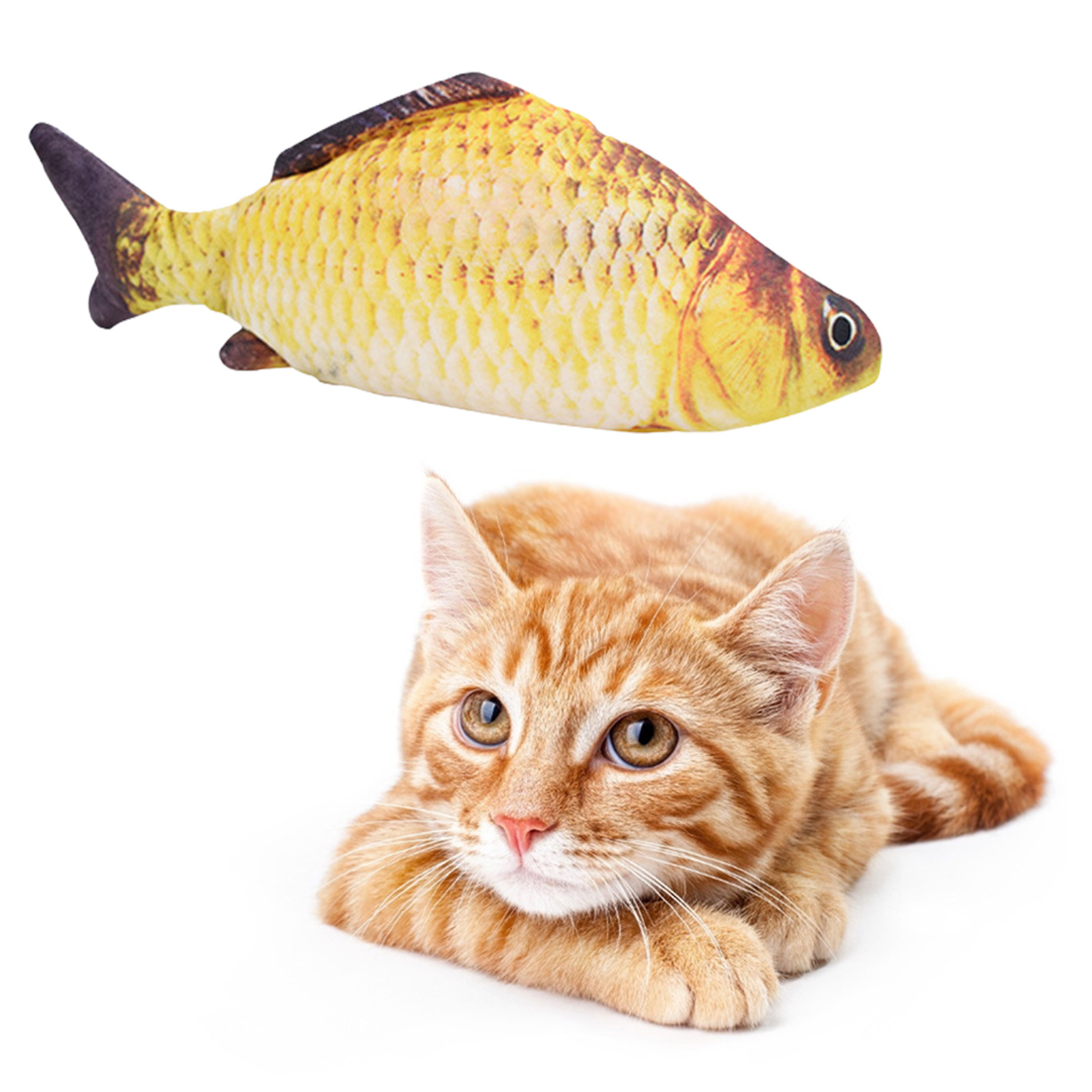 Cat Toys Fish USB Charger  Ele - Electric Floppy Fish Dog Toy 评论和价格