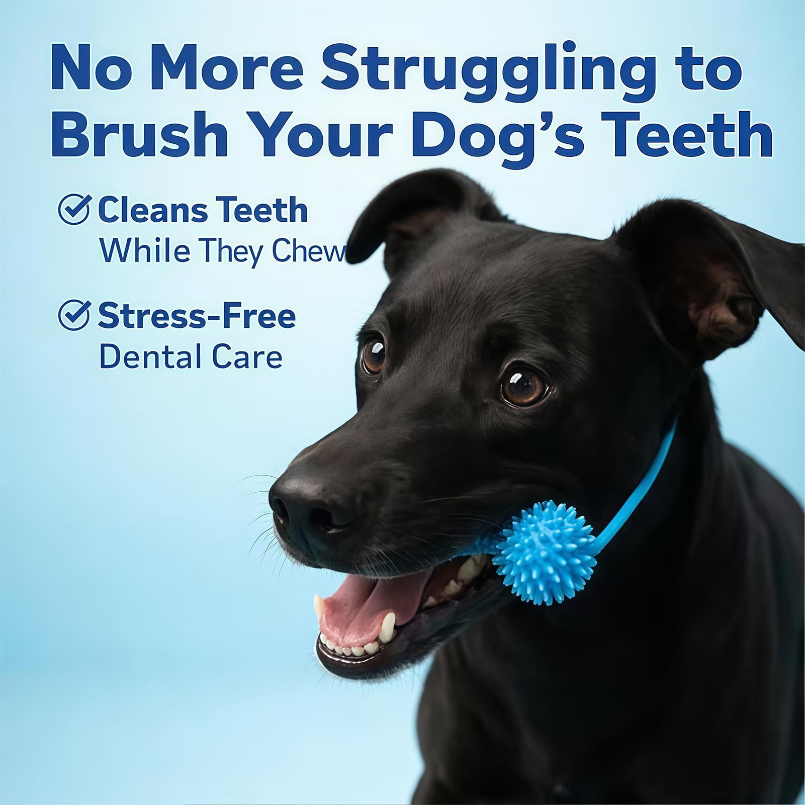 Dog Toothbrushing Toys Chewer  - Rubber Treat Dispensing Dog Toy 评论和价格