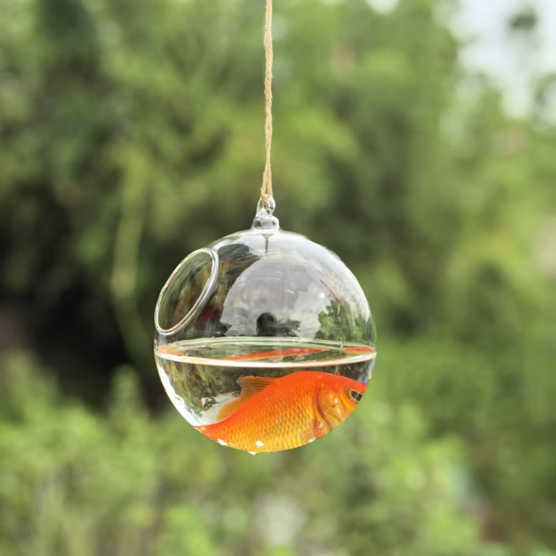 Small Packing Diameter=10cm 12 - Aquarium 评论和价格