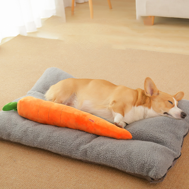 HOOPET Dog Toy Pet Carrot Plus - Indestructible Dog Chew Toy 评论和价格
