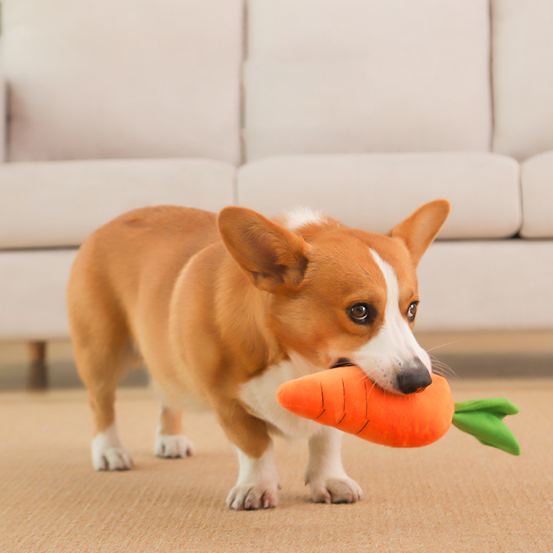 HOOPET Dog Toy Pet Carrot Plus - Indestructible Dog Chew Toy 评论和价格