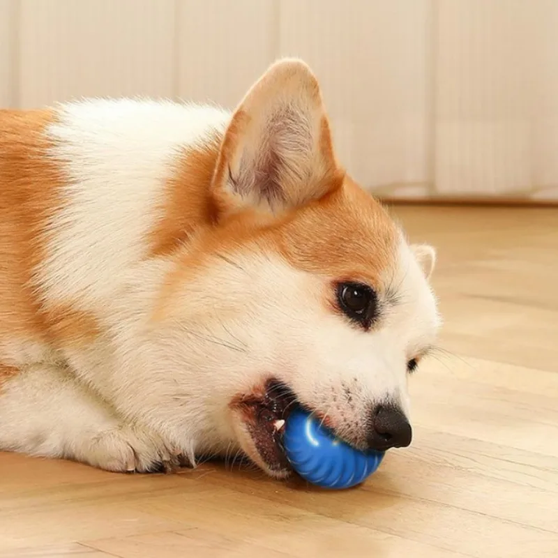 @1G-Pet Toy Ball Automatic Mov - Automatic Moving Dog Ball 评论和价格
