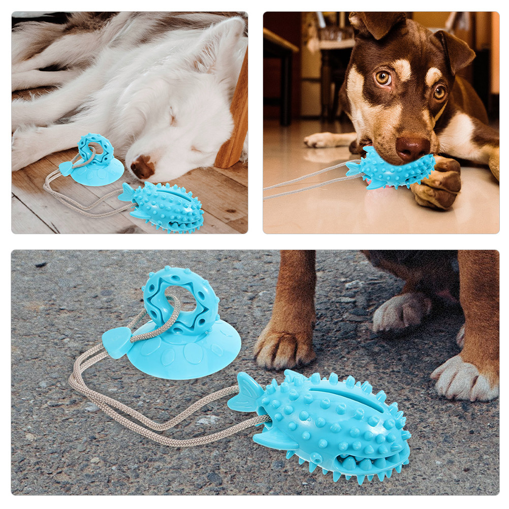 2Pcs Suction Cup Dog Interacti - Suction Cup Dog Tug Toy 评论和价格