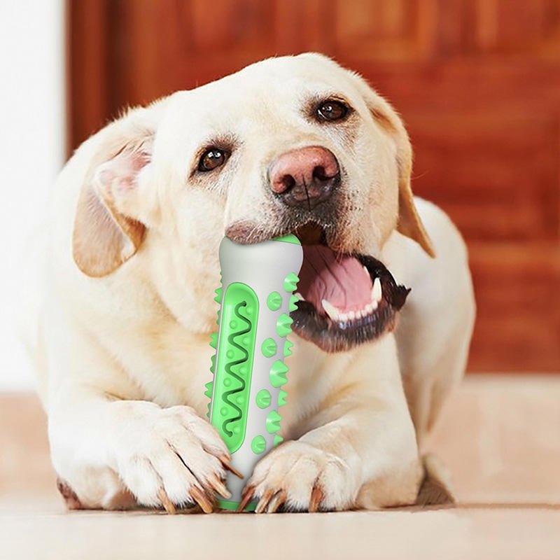 TPR Dog Molar Stick Chew Toy D - Teeth Cleaning Dog Chew Bone 评论和价格